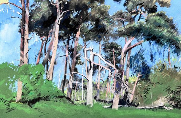 Broken Trees, Euston, Suffolk